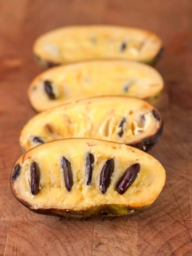 Pawpaw Fruit: America’s Secret Superfood You Need to Know About