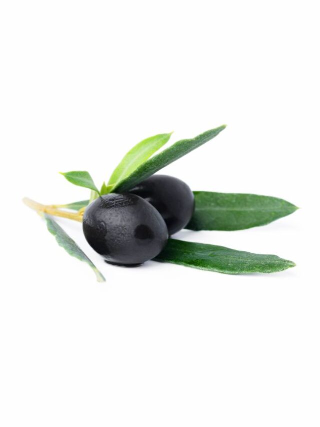 10 Reasons you must eat Olives