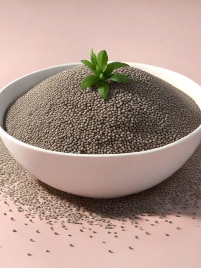 The Chia Challenge: Transform Your Health with CHIA SEEDS