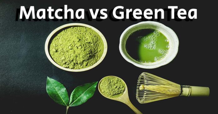 The Matcha vs. Green Tea