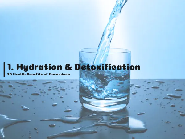 1. Hydration & Detoxification, 20 Health Benefits of Cucumbers