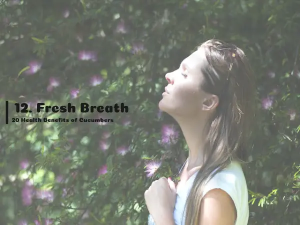 12. Fresh Breath, 20 Health Benefits of Cucumbers