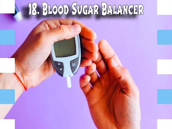 17. Blood Sugar Balancer, Health Benefits of Garlic