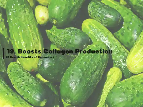 19. Boosts Collagen Production, 20 Health Benefits of Cucumbers