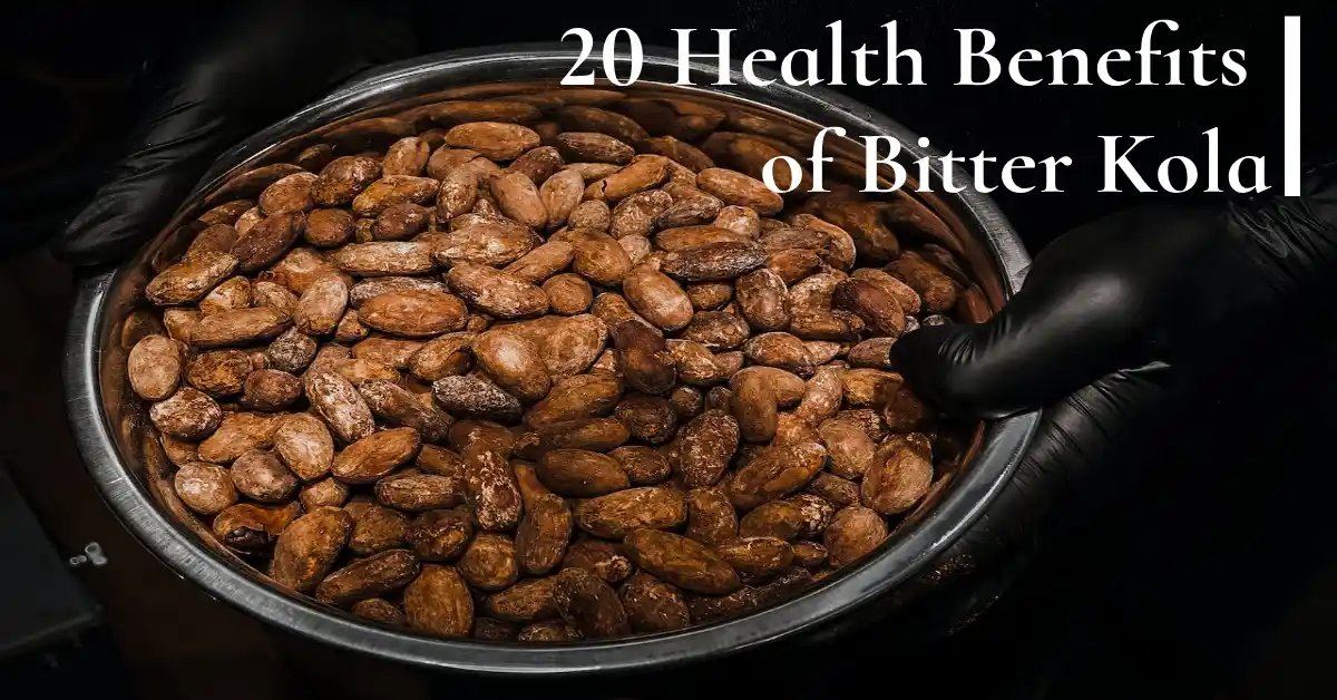 20 Health Benefits of Bitter Kola : A Detailed Guide to Its Health Benefits