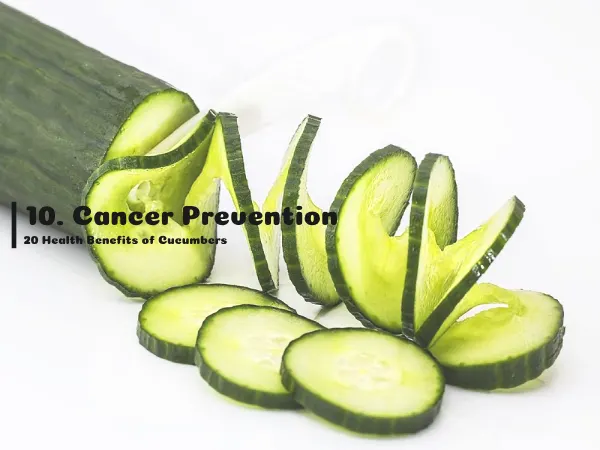 10. Cancer Prevention, 20 Health Benefits of Cucumbers