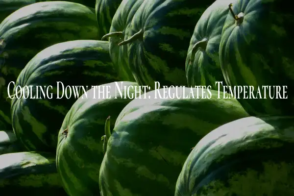 Health Benefits of Eating Watermelon at Night