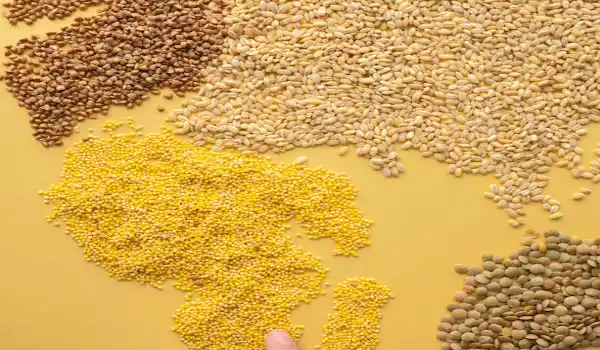 lentils, 30 Plant-Based Proteins