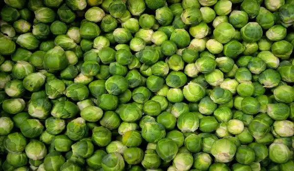 3. Brussels Sprouts , 30 Plant-Based Proteins