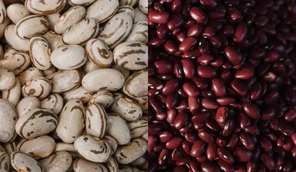 30.-Beans-Versatile-Protein-Goodness, 30 Plant-Based Proteins