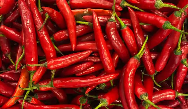 1. Selecting the Chillies, How to Make Chilli Flakes and Oregano at Home