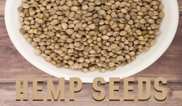 9. Hemp Seeds, 30 Plant-Based Proteins