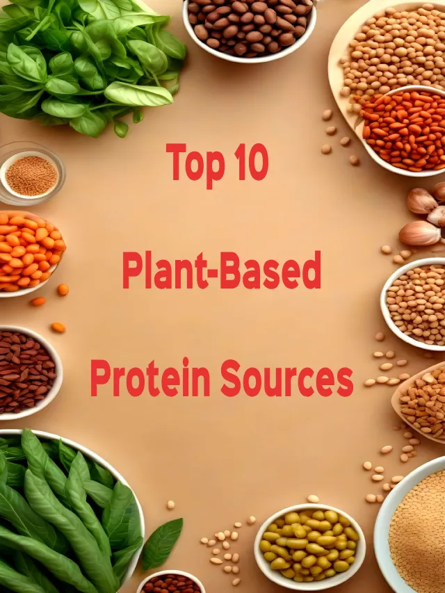 Top 10 Plant-Based Protein Sources for a Healthy You!