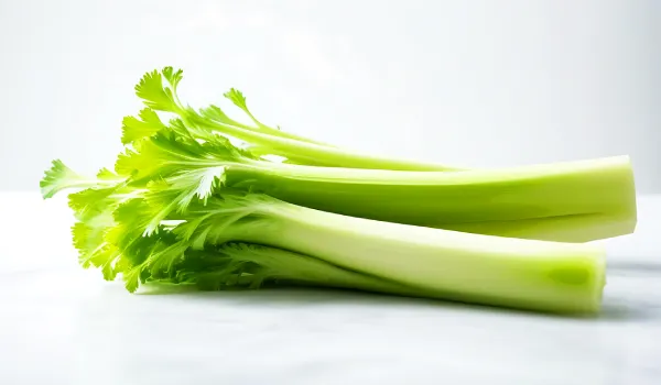 Celery benefits and side effects