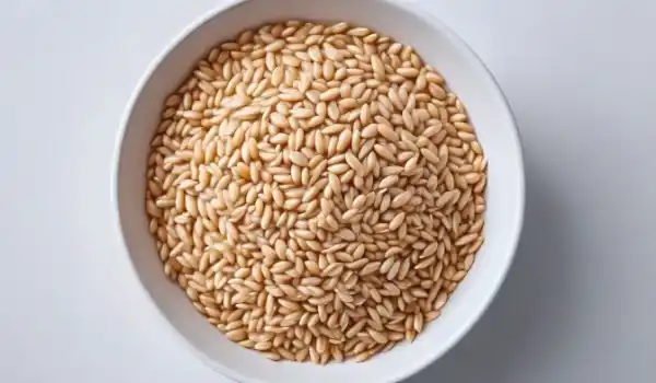 The Best Whole Grains for Weight Loss