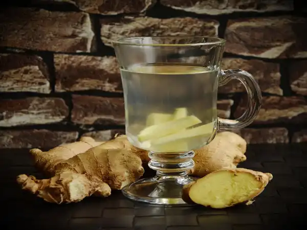 Ginger Infused Water