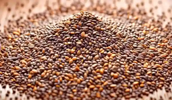 the Chia and Flax seeds together benefits