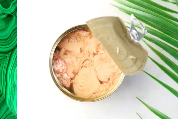 How Healthy is Canned Tuna?