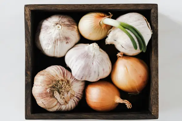 Health Benefits of Onions and Garlic