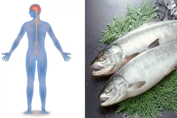 20 health benefits of salmon 
