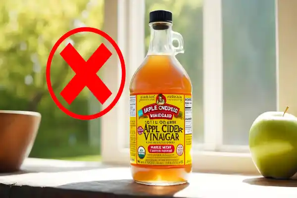 Which is Better Apple Cider Vinegar vs Balsamic Vinegar