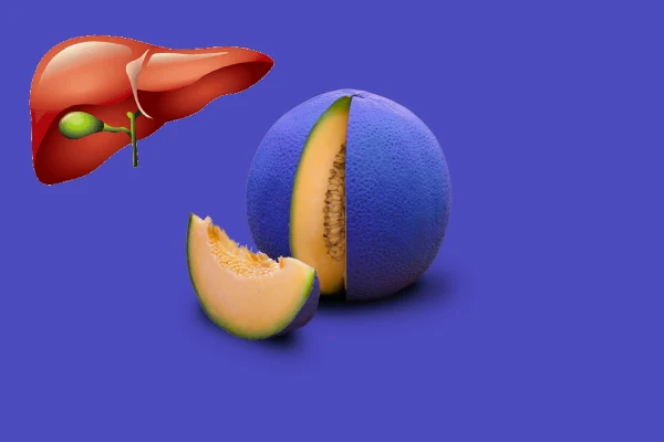 Cantaloupe Benefits Liver