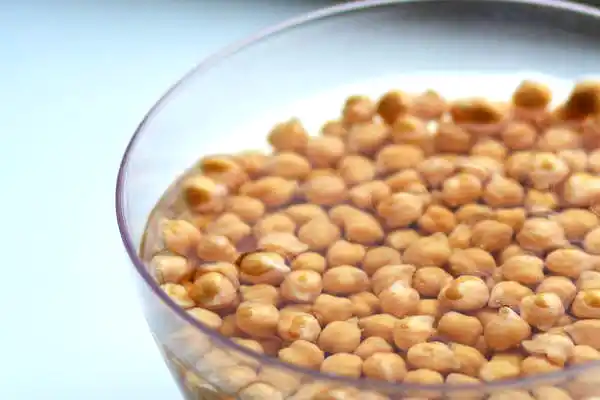 Health Benefits of Chickpeas Garbanzo Beans (Male and Female)