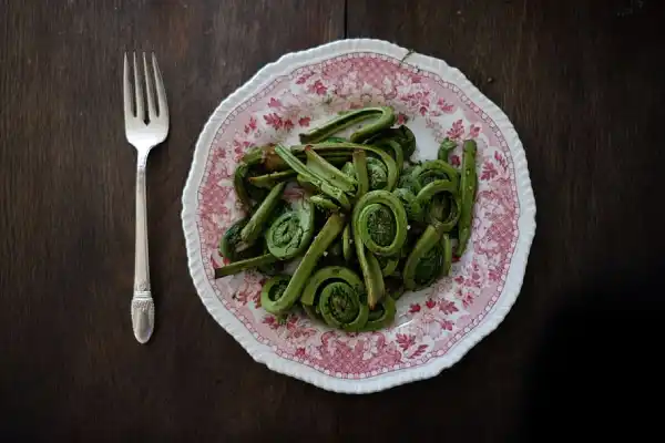 Fiddleheads Nutrition, Benefits, Taste, and Much More Details