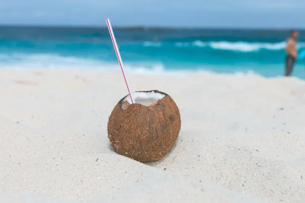 10 Health Benefits of Coconut
