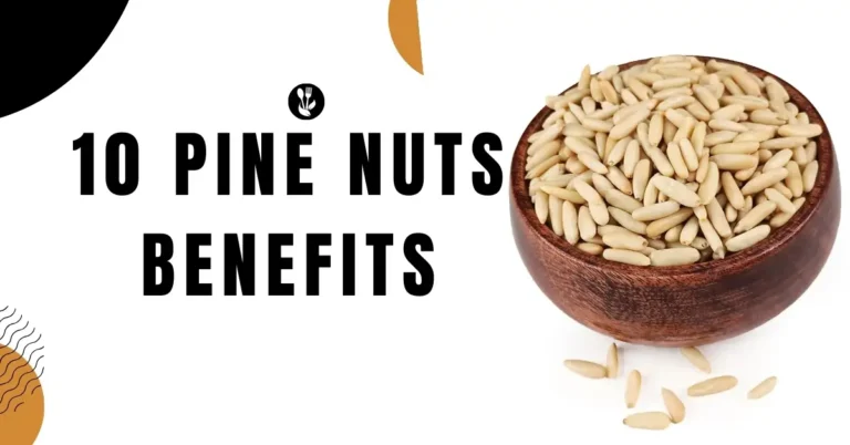 10 pine nuts benefits