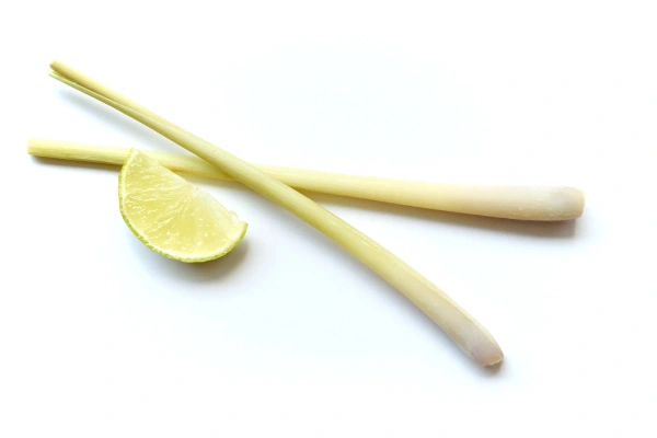Sweet ginger citrus turmeric vitality tea benefits