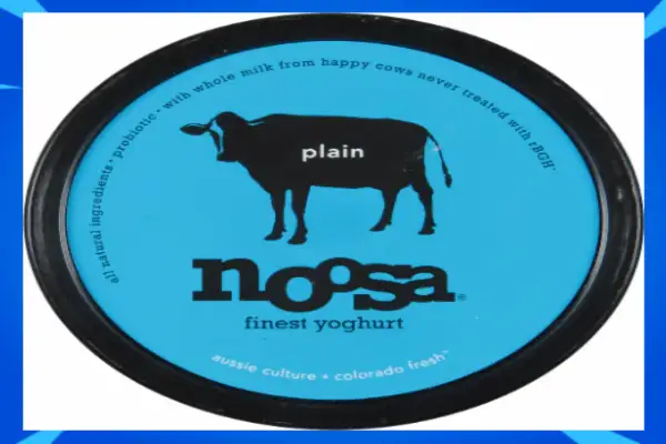 Noosa Plain Whole Milk Yogurt