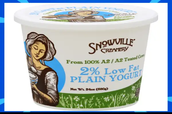 Snow Ville Dairy Plain Yogurt