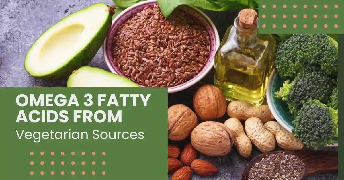 Omega 3 Fatty Acids From Vegetarian Sources