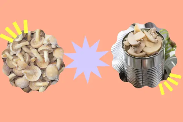 The Best Way To Eat Shrooms