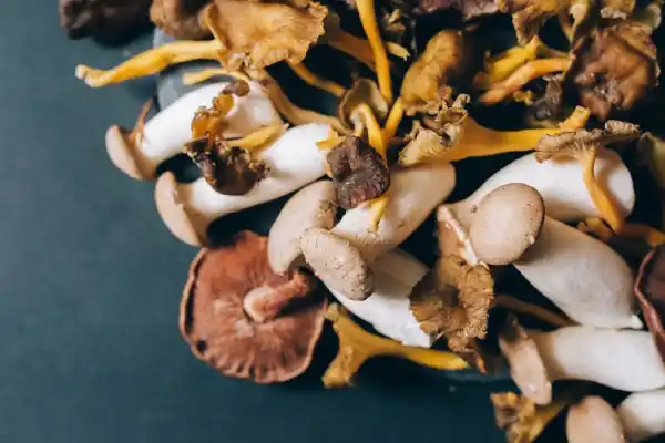 The Best Way To Eat Shrooms